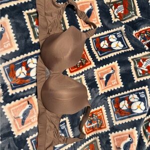 Cacique Brown Bra